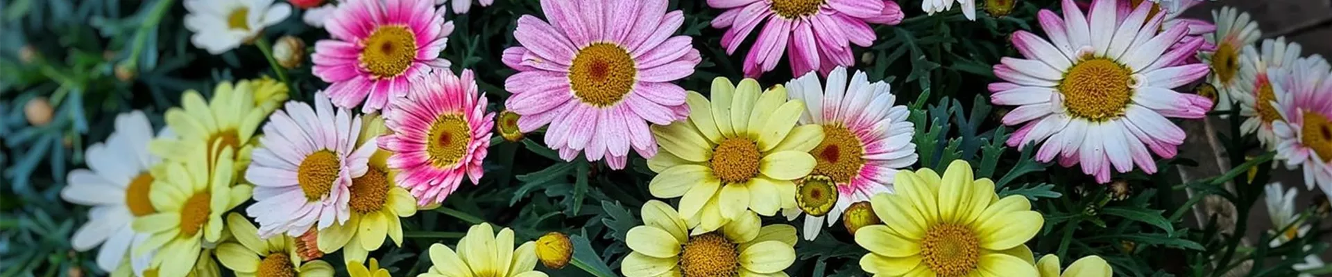 Foto 12.04.22, 11 00 29 (2) Foto 12.04.22, 11 00 29 (2)