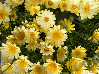 verkaufsoffener Sonntag  verkaufsoffener Sonntag