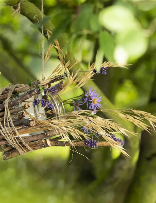 Ein Vogelhaus aus einem Weckglas - gläserner Futter-Stopp für Vögel