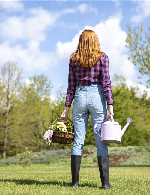 Alles auf Anfang – ein Blumenbeet anlegen