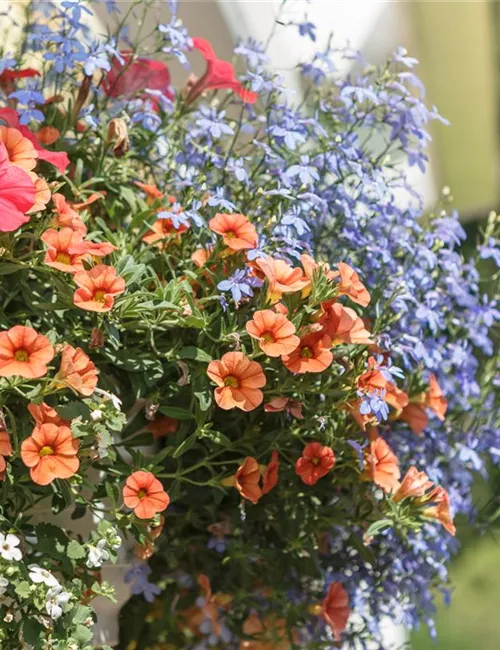Urban Gardening – Blumenampel aus Konservendosen