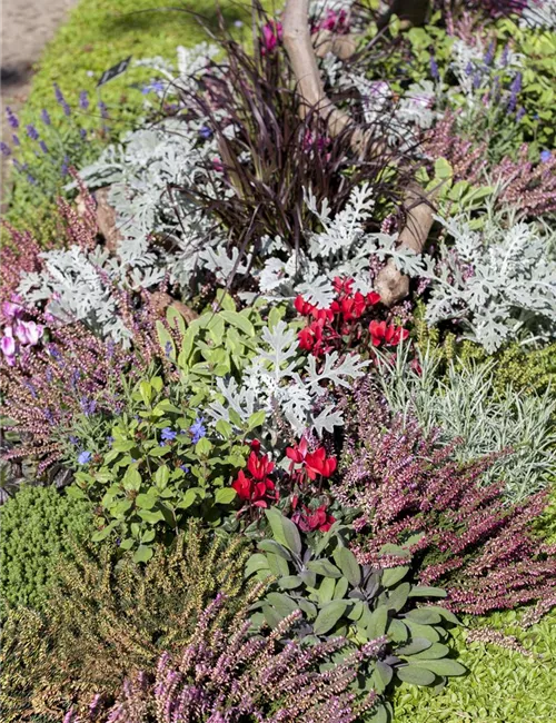Die Grabpflege im Herbst