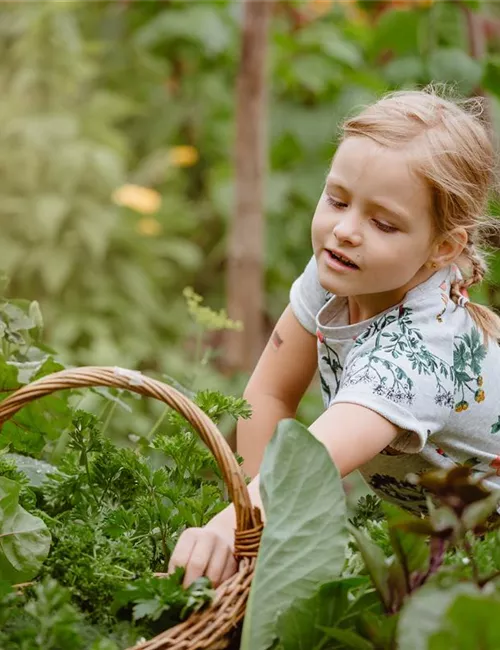 Jetzt kann geerntet werden! Kinder spielerisch einbeziehen