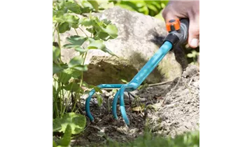 Kleingrubber Kleingrubber