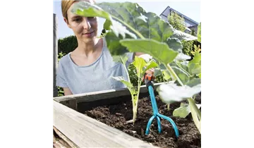 Kleingrubber Kleingrubber