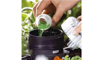 welchen dünger für avocadobaum Purgrün Bio-Avocadodünger 1 Liter main image 0