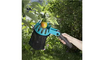 Obstpflücker Obstpflücker