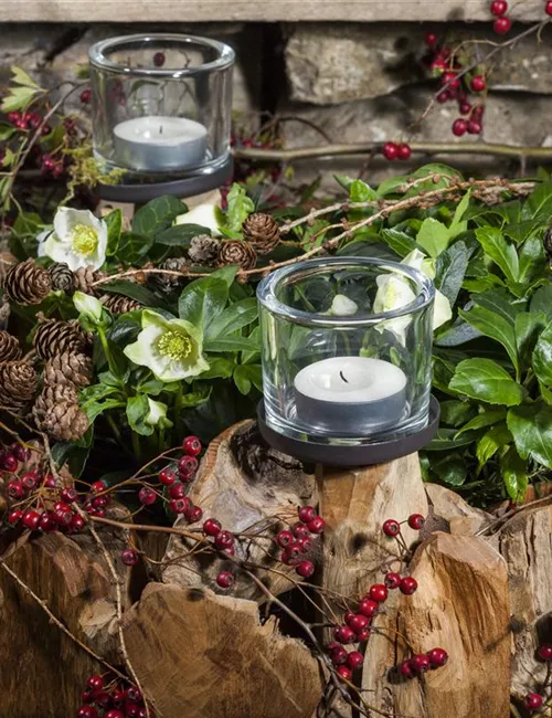 Adventskranz gestalten