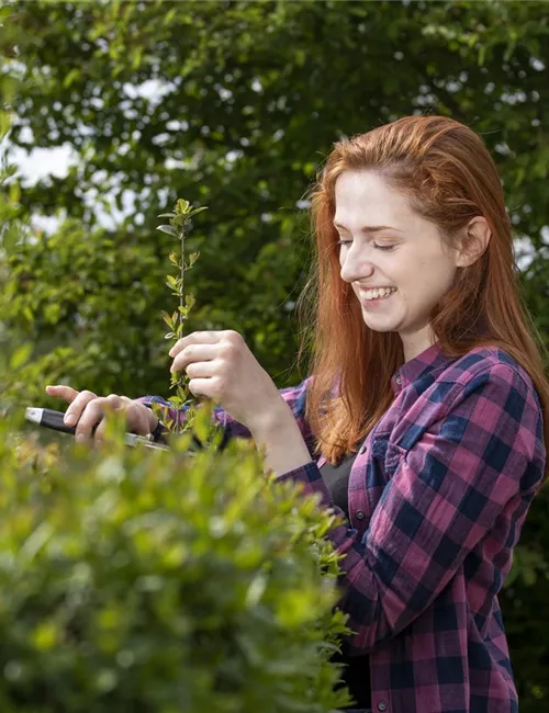Diese Arbeiten sind jetzt im Garten noch nötig Diese Arbeiten sind jetzt im Garten noch nötig