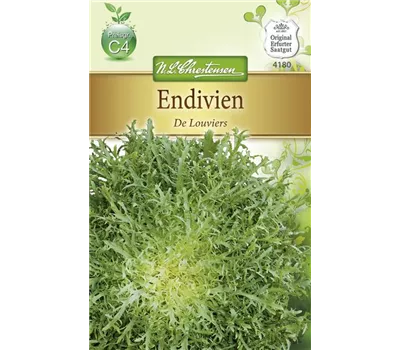 Endiviensamen 'De Louviers' Endiviensamen 'De Louviers'