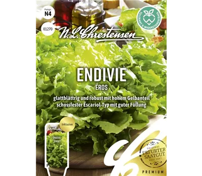 Endiviensamen 'Eros' Endiviensamen 'Eros'