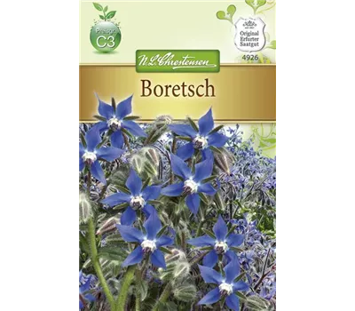Borretschsamen