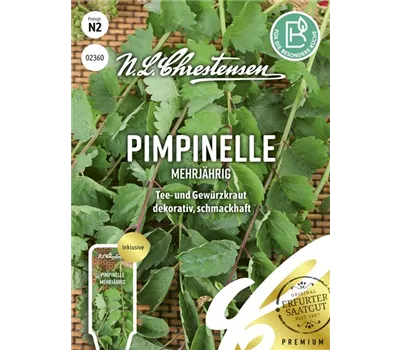 Kleiner Wiesenknopfsamen