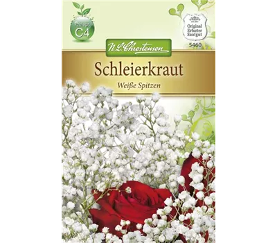 Garten-Schleierkraut-Samen 'Weiße Spitzen'