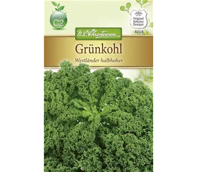 Grünkohlsamen 'Westländer halbhoher' Grünkohlsamen 'Westländer halbhoher'