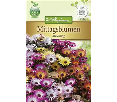 Mittagsblumensamen