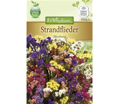 Geflügelter Strandfliedersamen