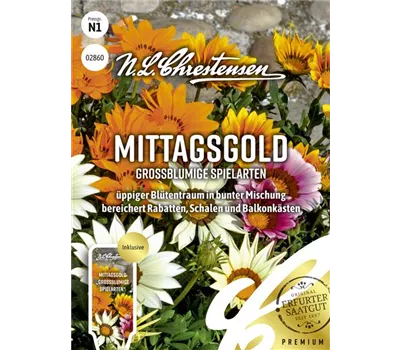 Mittagsgoldsamen 'Großblumige Spielarten'