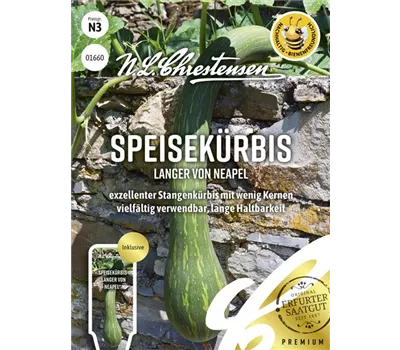 Kürbissamen 'Langer von Neapel'