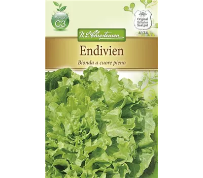 Endiviensamen 'Bionda a cuore pieno' Endiviensamen 'Bionda a cuore pieno'