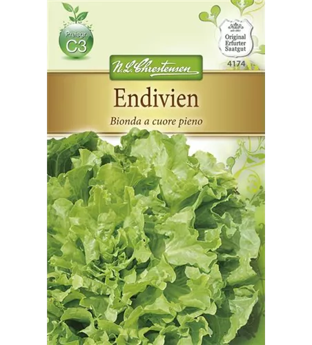 Endiviensamen 'Bionda a cuore pieno'