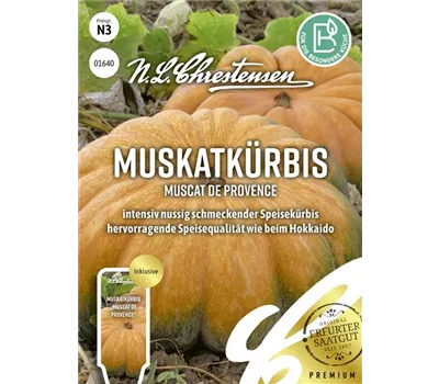 Kürbissamen 'Muscat de Provence'