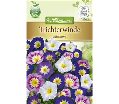 Dreifarbige Winde-Samen