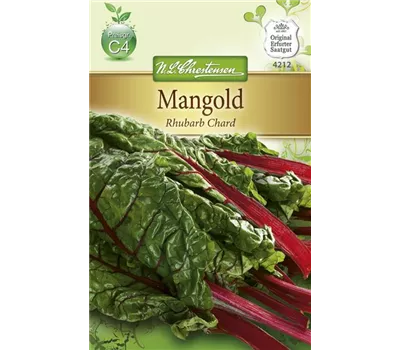 Mangoldsamen 'Rhubarb Chard' Mangoldsamen 'Rhubarb Chard'