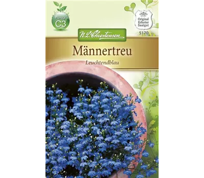 Lobeliensamen 'Leuchtendblau'