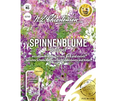 Spinnenblumensamen