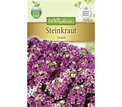 Duftsteinrichsamen