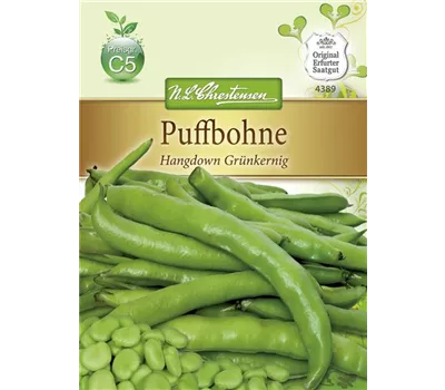 Puffbohnensamen 'Hangdown Grünkernig'