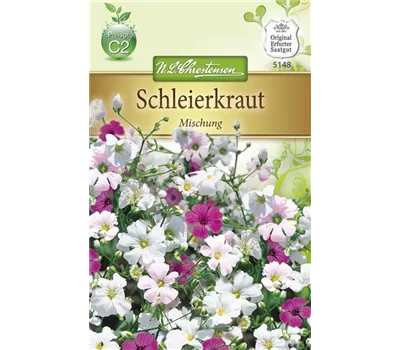 Sommer-Schleierkraut-Samen