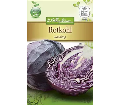 Rotkohlsamen 'Roodkop' Rotkohlsamen 'Roodkop'
