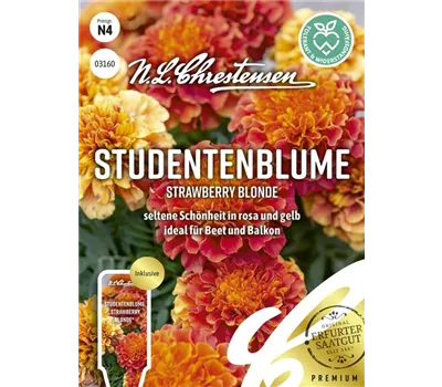 Tagetessamen 'Strawberry Blonde'