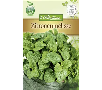 Zitronen-Melissensamen