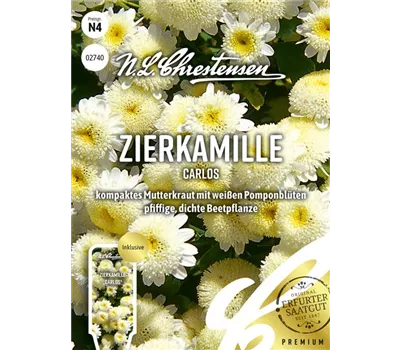 Zierkamillensamen 'Carlos'