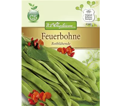 Prunkbohnensamen 'Rotblühende' Prunkbohnensamen 'Rotblühende'