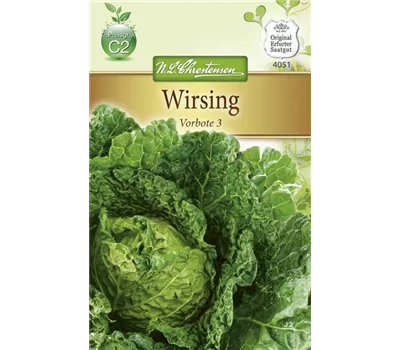 Wirsingkohlsamen 'Typ Vorbote' Wirsingkohlsamen 'Typ Vorbote'