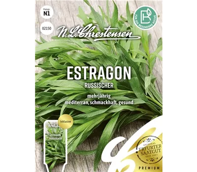 Rusischer Estragon-Samen