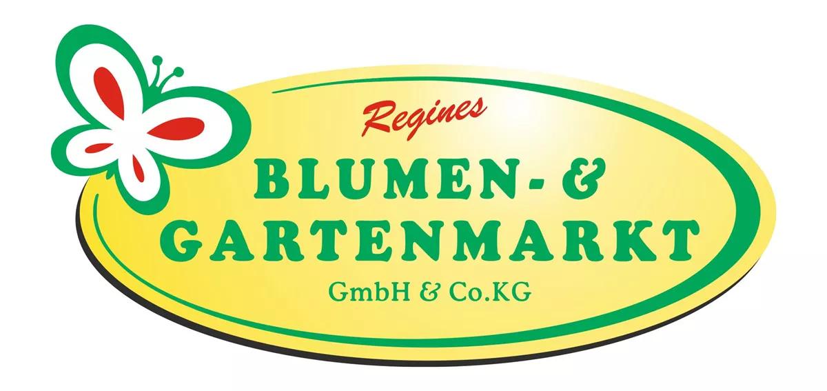 saatgut geschenkset Kräutergarten Geschenk-Set mit Kräuterlikör, Samen & Pflanzerde –  geschenke-online.de