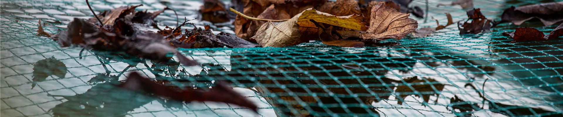 Teichnetz - Frostschutz Teichnetz - Frostschutz