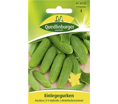 Gurkensamen 'Restina F1'