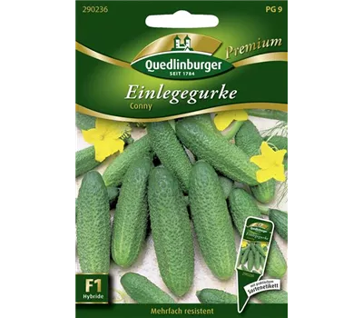 Gurkensamen 'Conny F1'
