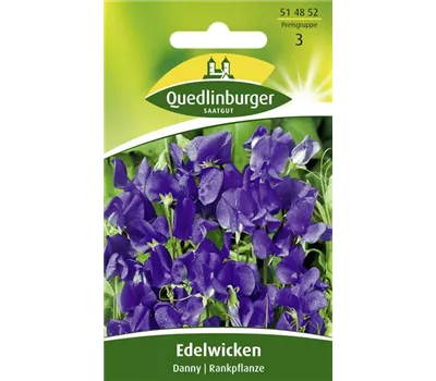 Duftwickensamen 'Cuthbertson Danny' Duftwickensamen 'Cuthbertson Danny'