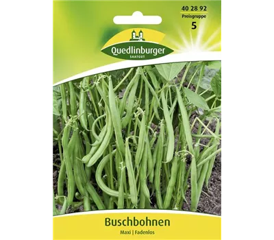 Buschbohnensamen 'Maxi' Buschbohnensamen 'Maxi'