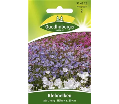 Himmelsröschensamen Himmelsröschensamen