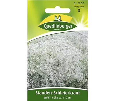 Garten-Schleierkraut-Samen