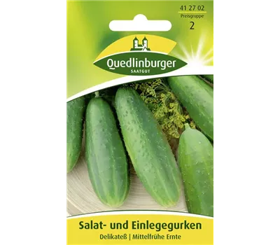 Gurkensamen 'Delikateß'
