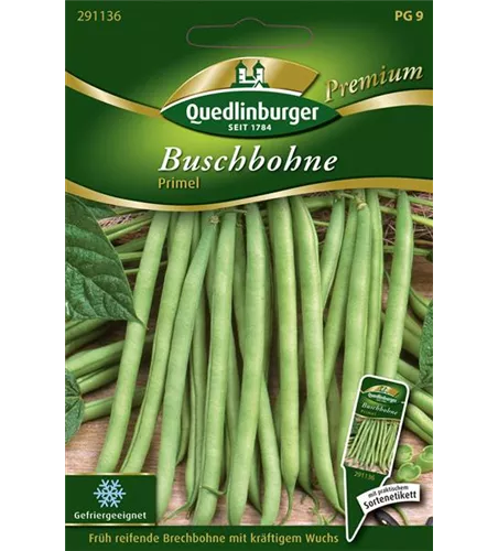 Buschbohnensamen 'Primel'